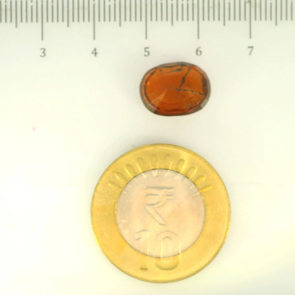 ITLGR_104428_SCALE.webp