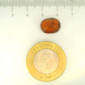 ITLGR_104428_SCALE.webp