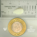 ITLGR_101896_SCALE.webp