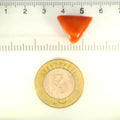 ITLGR_121391_SCALE.webp