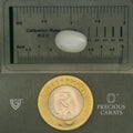 ITLGR_102074_SCALE.webp