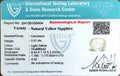 ITLGR_100404_CERTIFICATE.webp