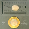 ITLGR_102023_SCALE.webp