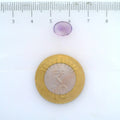 ITLGR_112992_SCALE.webp