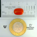 ITLGR_104518_SCALE.webp
