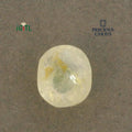 IGITL_200279_TOP.webp