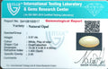 ITLGR_100517_CERTIFICATE.webp