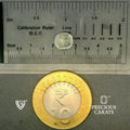 ITLGR_100311_SCALE.webp