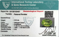 ITLGR_100487_CERTIFICATE.webp