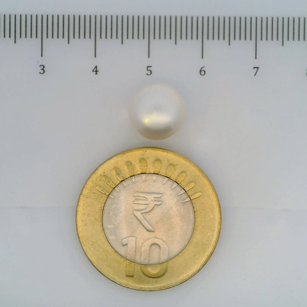 ITLGR_106961_SCALE.webp