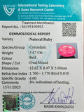 ITLGR_109892_CERTIFICATE.webp
