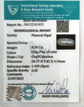 ITLGR_101935_CERTIFICATE.webp