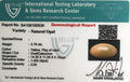 ITLGR_100539_CERTIFICATE.webp