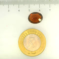 ITLGR_104415_SCALE.webp