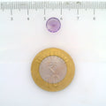 ITLGR_113066_SCALE.webp
