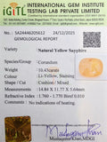 IGITL_205612_CERTIFICATE.webp