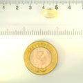IIGJ_12879D53005_SCALE.webp