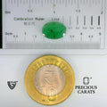 ITLGR_102146_SCALE.webp