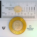 ITLGR_100547_SCALE.webp