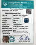 ITLGR_101031_CERTIFICATE.webp
