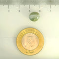 ITLGR_109810_SCALE.webp