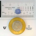 ITLGR_101052_SCALE.webp