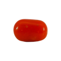 ITLGR_104543_FRONT.png