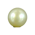 ITLGR_107031_FRONT.png