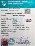 ITLGR_113037_CERTIFICATE.webp