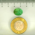 ITLGR_106826_SCALE.webp