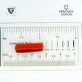 ITLGR_99876_SCALE.webp