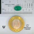 ITLGR_102204_SCALE.webp