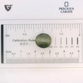 ITLGR_100580_SCALE.webp