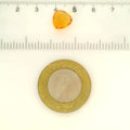 ITLGR_121756_SCALE.webp