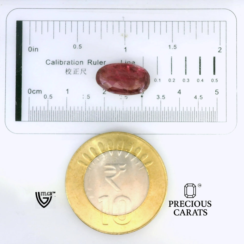 ITLGR_102660_SCALE.webp
