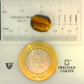 ITLGR_104445_SCALE.webp