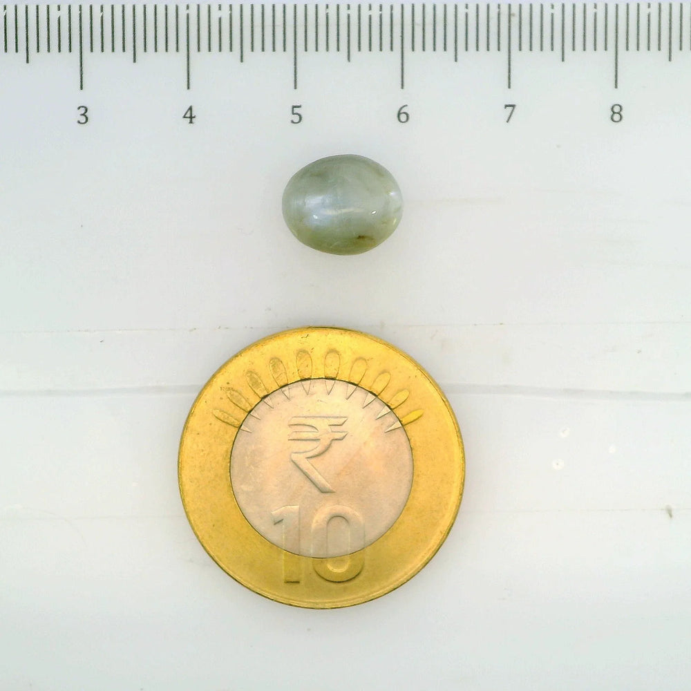 ITLGR_109780_SCALE.webp