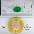 ITLGR_102140_SCALE.webp