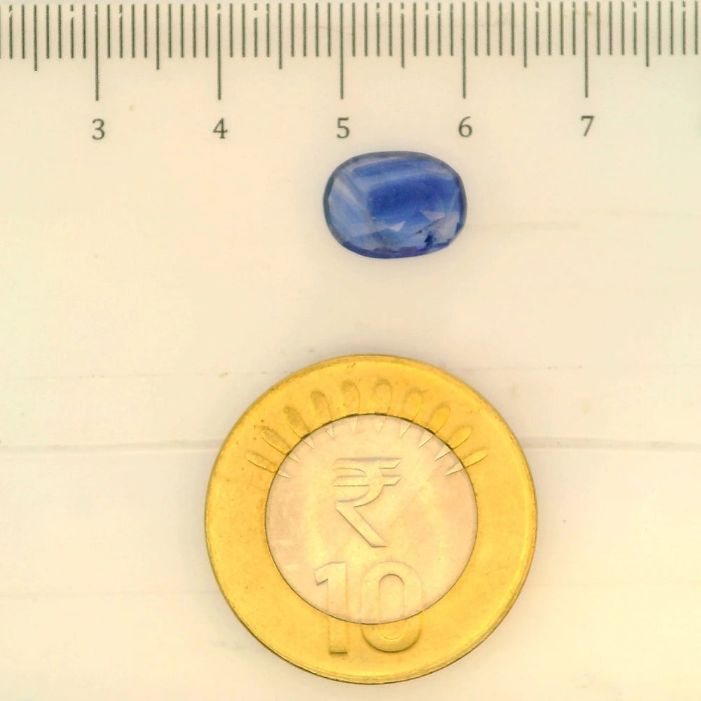 IGITL_197822_SCALE.webp