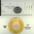 ITLGR_101663_SCALE.webp