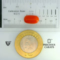 ITLGR_104509_SCALE.webp