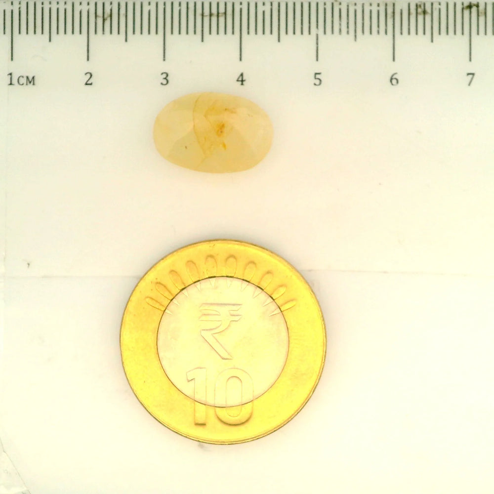 ITLGR_106791_SCALE.webp