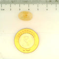 ITLGR_106791_SCALE.webp