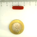 ITLGR_112844_SCALE.webp