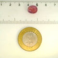 ITLGR_109885_SCALE.webp