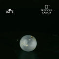 IGITL_197851_BACK.webp