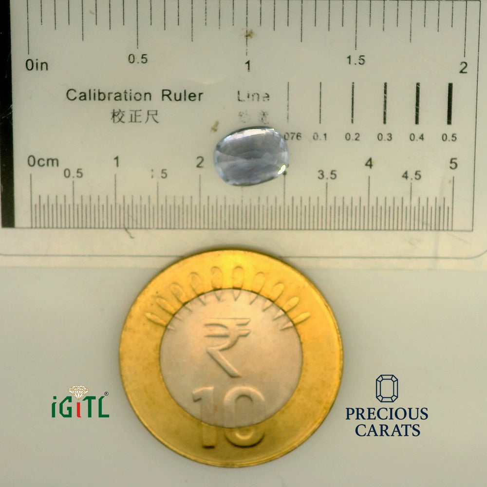 IGITL_197769_SCALE.webp