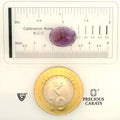 ITLGR_101599_SCALE.webp