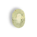 IGITL_211684_TOP.webp