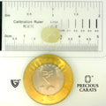 ITLGR_109954_SCALE.webp